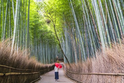 امرأة على الطريق عبر غابة الخيزران ، ساغانو ، اليابان