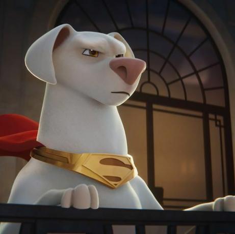 دوري العاصمة للحيوانات الأليفة الخارقة في أفضل أفلام الأطفال لعام 2022